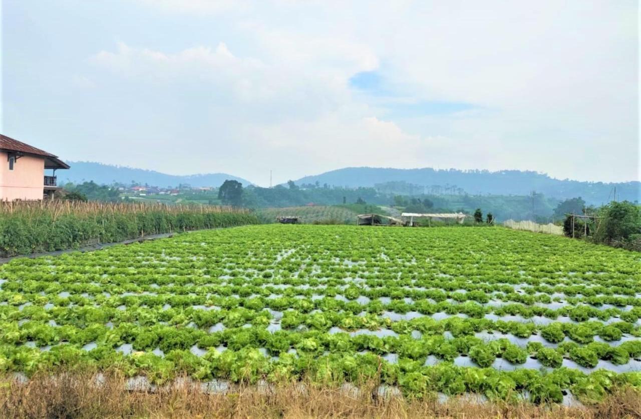 Villa Lembang Bunda Cikareumbi Buitenkant foto